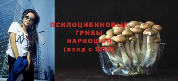 молекула духа Алексеевка