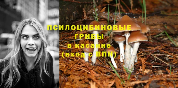 первитин Алексин